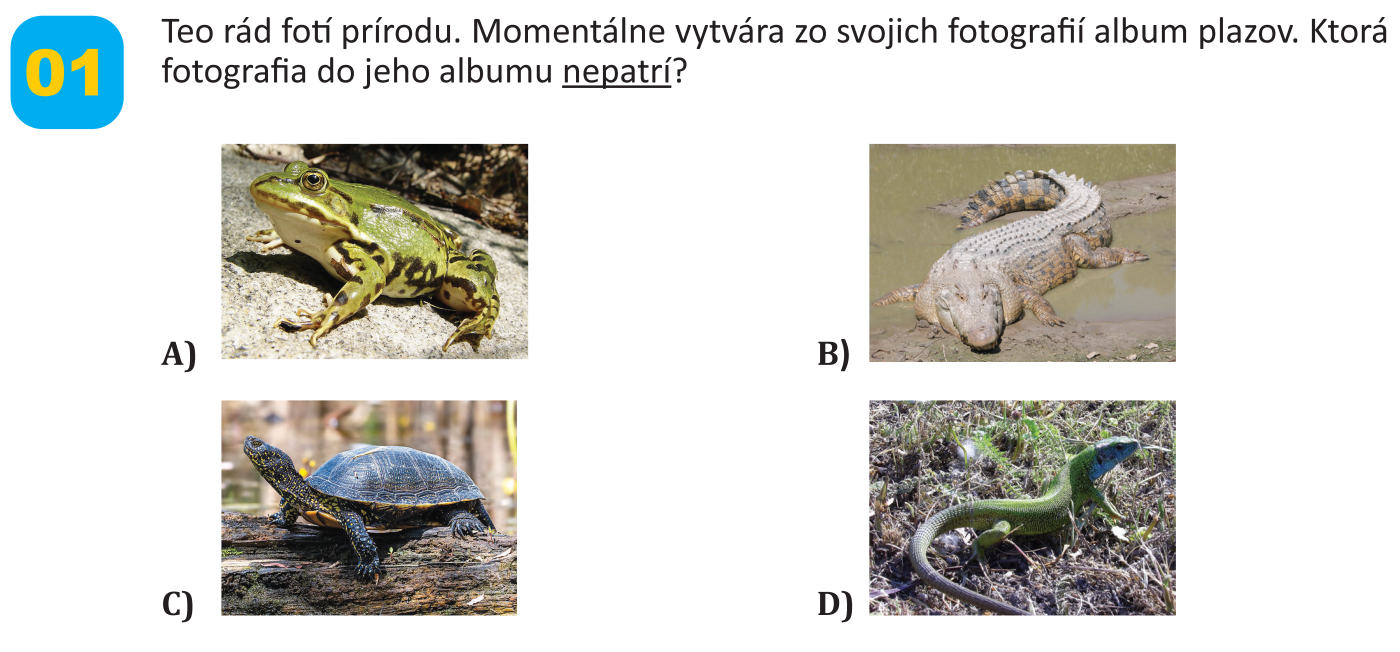 Všetkovedko - 4, úloha 1