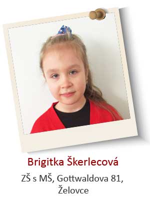 2-Brigitka-Skerlecova-2.jpg