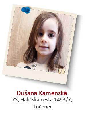 2-Dusana-Kamenska-2.jpg