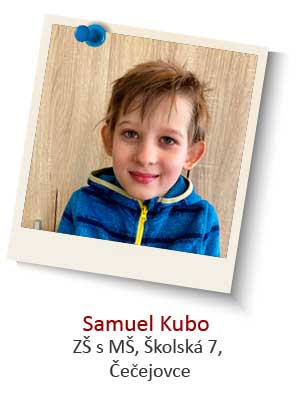 2-Samuel-Kubo-1.jpg