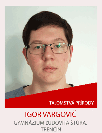 Igor-Vargovic.png
