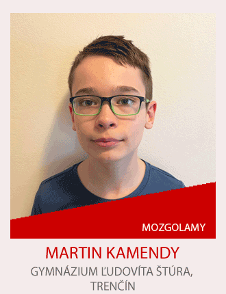 Martin-Kamendy.png