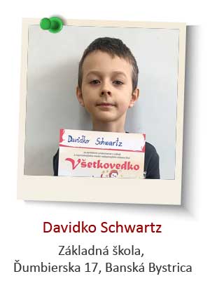 2-Davidko-Schwartz