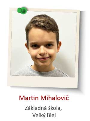 2-Martin-Mihalovic