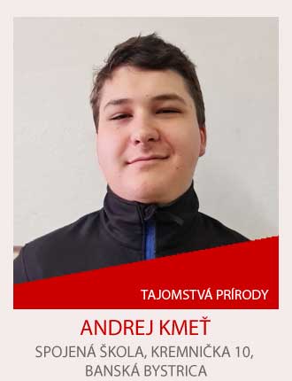 Expert-geniality-show-galeria-slavy_20709