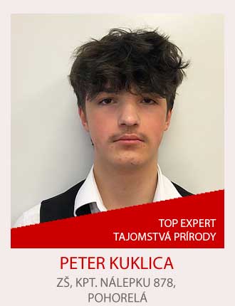 Expert-geniality-show-galeria-slavy_26314