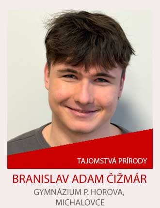 Expert-geniality-show-galeria-slavy_46055