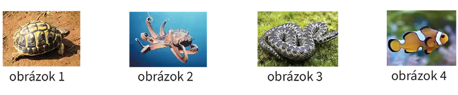 Vsetkovedko 2-5 26